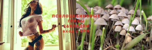 2c-b Алексин