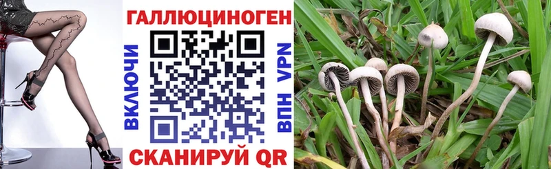 продажа наркотиков  Дедовск  Галлюциногенные грибы ЛСД 